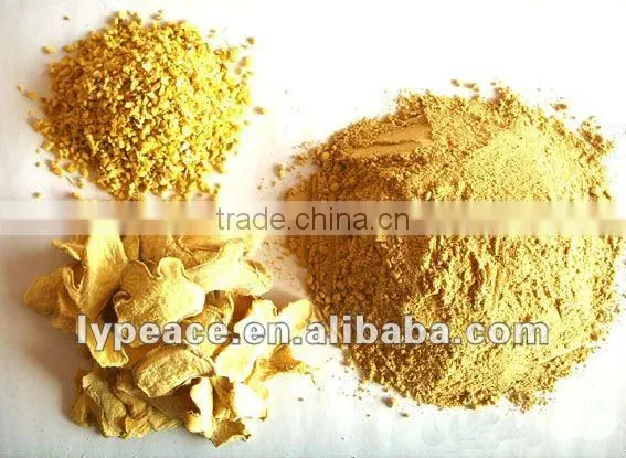 exporting delicious ginger powder with perfect quality