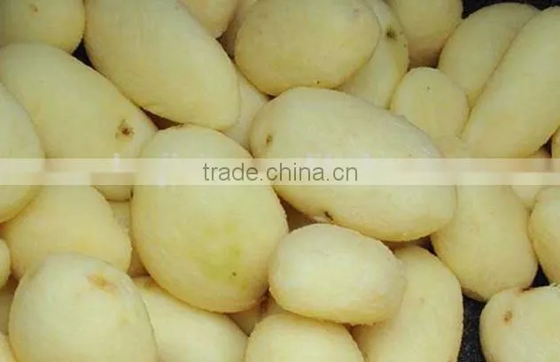 cassava peeler and slicer /cassava peeling machine
