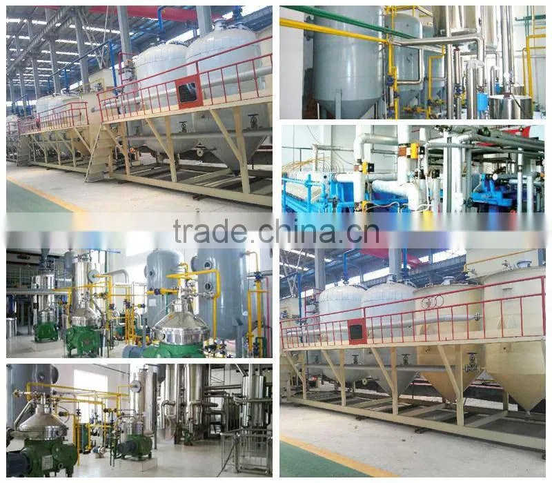 Hot sale mini Refining equipment for the deodorization of oil
