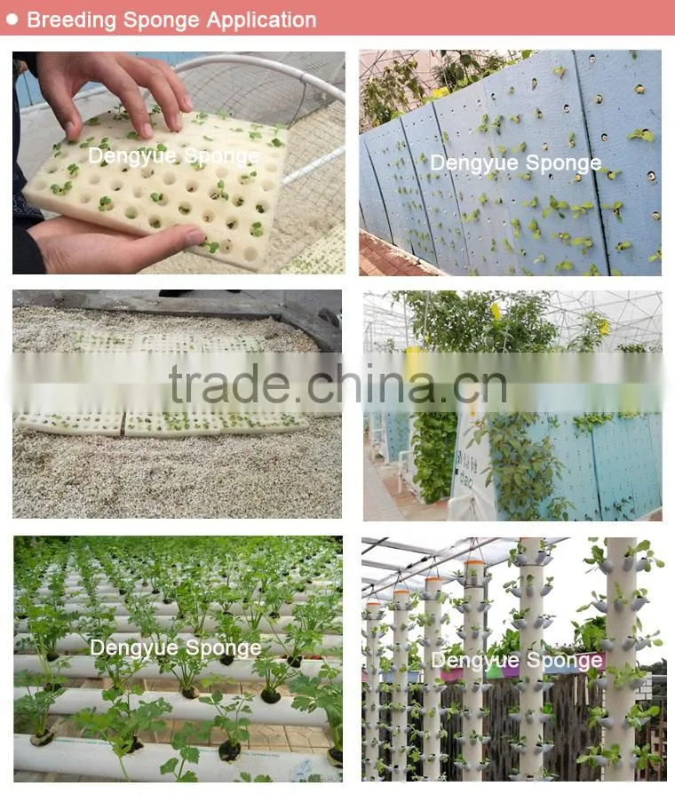 healthy greenhouse stereoscopic Agriculture save space save soil no need fertilizer planting foam