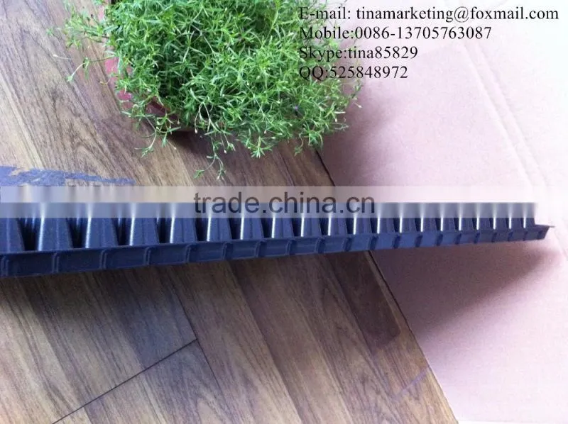 PS Material Plastic Plant Nursery Seedling Black Hole Tray 288 cell with different thickness