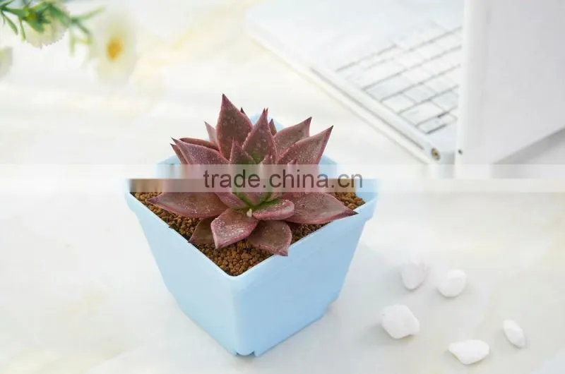 Plastic Flower Pot Rack -6 Grid