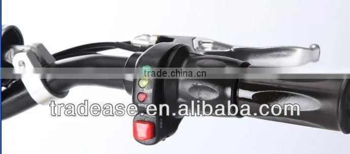 2-Wheels 1000w36V/48V Electric Scooter