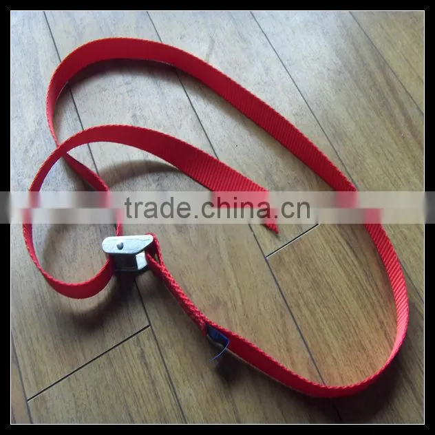 cam locking buckle strap