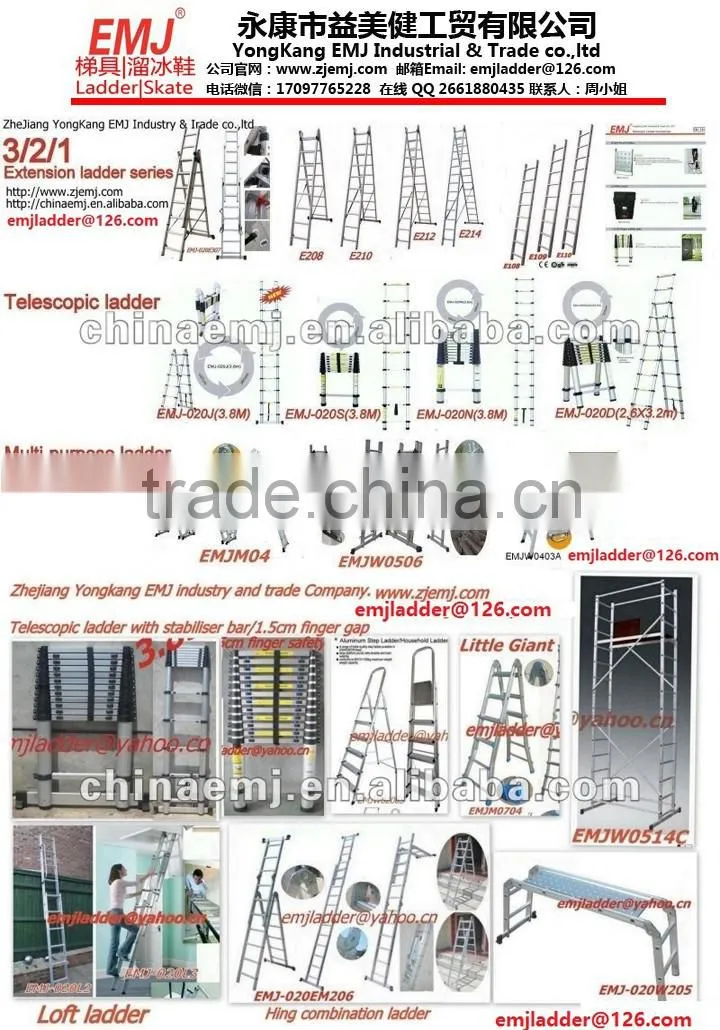 2m Single Telescopic ladder