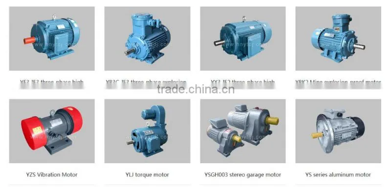Y2 Cast Iron three Phase induction motor
