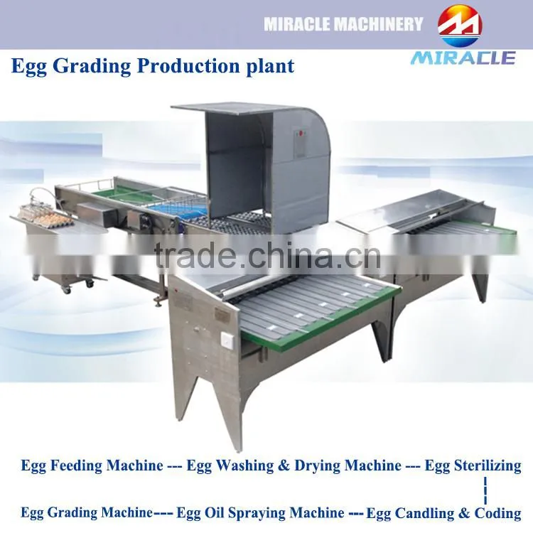 Grader and sorter egg machine, egg process grading machine from food process line