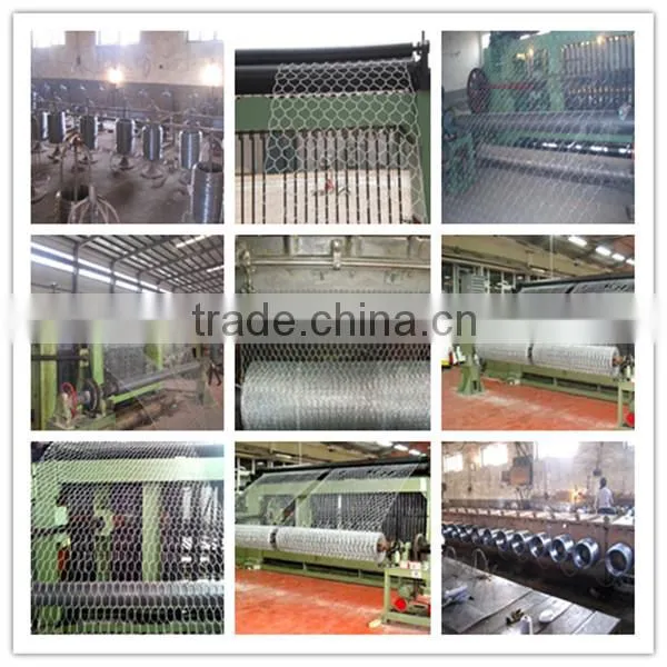 Lowest price galvanized chicken wire mesh(China manufacturer)