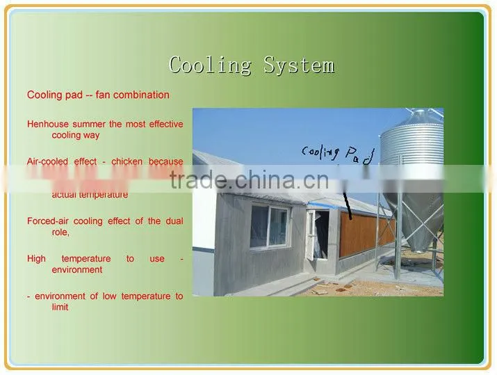 chicken poultry farm equipment