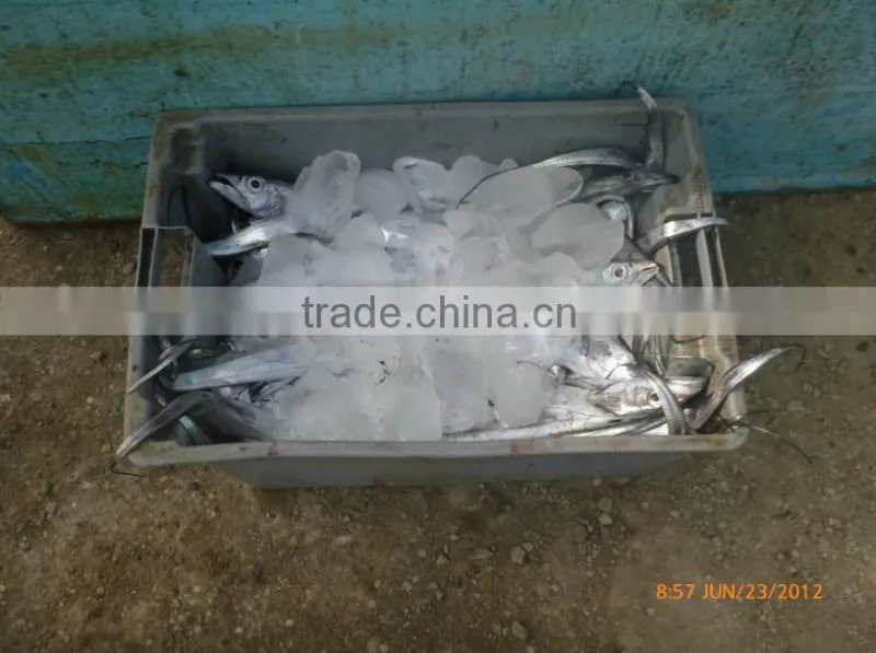 Latest technology commercial cheap multiple system plate ice machinery