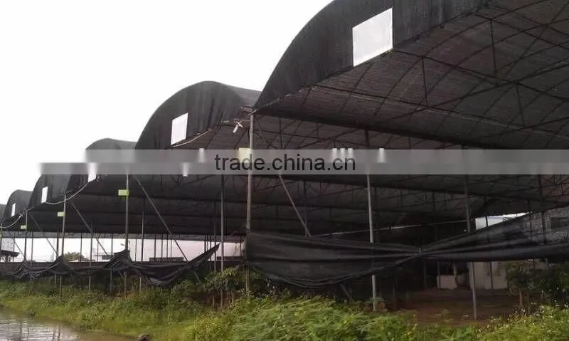 hot sale Vietnam Thailand shade net/hdpe woven knitted shade cloth/green plastic greenhouse side cover
