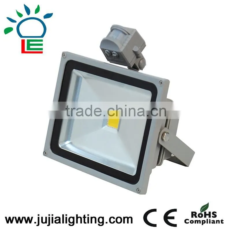 Constant-current driver 2 years warranty IP65 10w 20w 30W LED flood light