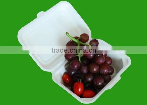2016 Eco-friendly Disposable Biodegradable Lunch Box