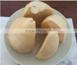 canned bamboo shoot with high quality