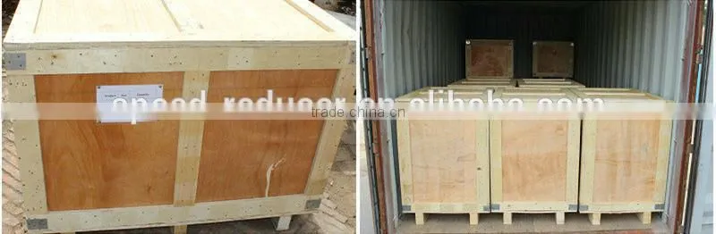 Screw conveyor motorized pulley oil immersed type