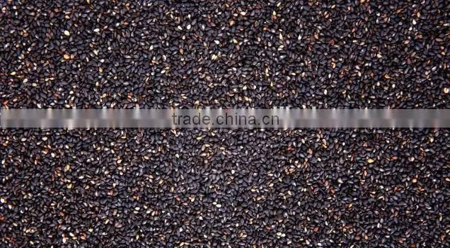 Vacuum Type Destoner of Process Sunflower with ISO Approval