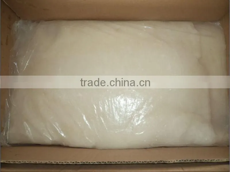 Giant Squid Fillet