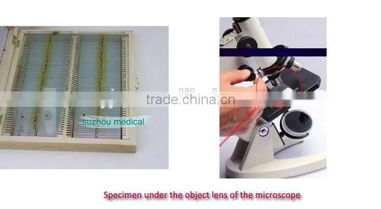 Microscope Slides 200pcs set