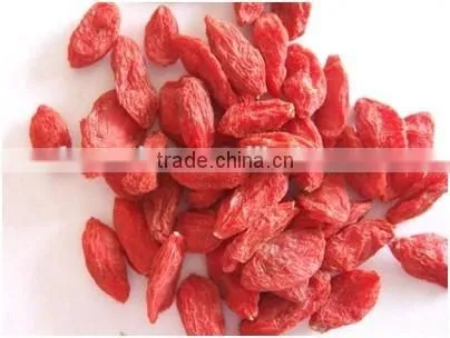 ISO9001,ISO22000 hot sale whole foods goji berry dried wolfberry