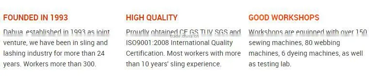 white sling endless webbing Factory CE GS TUV SGS GOLDSUPPLIER