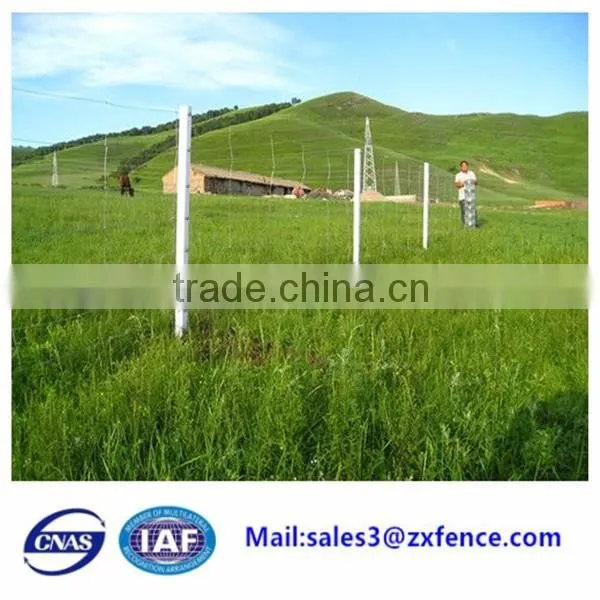 Factory direct cheap heavy duty sheep fence,horse fence,cattle fence