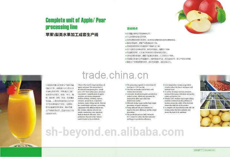 turnkey project of automatic Apple Processing plant