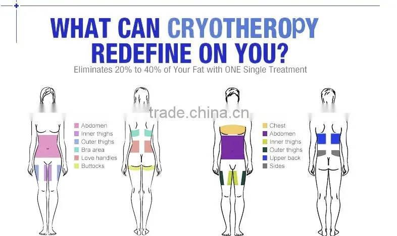 Guangzhou Vertical Cryogenic Lipolyse slimming machine