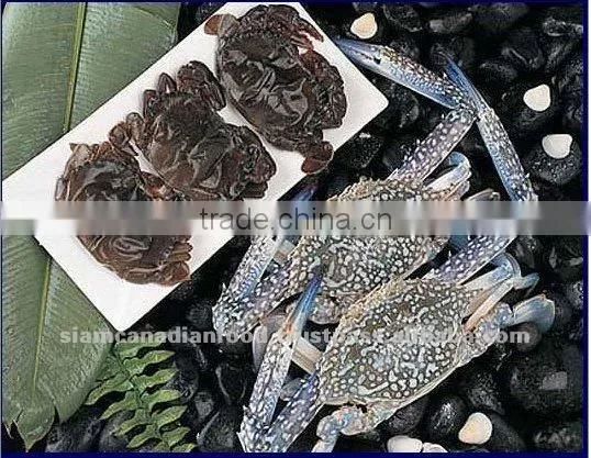 Sea Water Fresh Frozen Fish