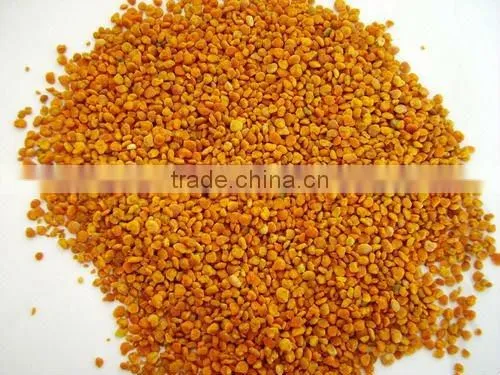 camellia bee pollen hot sale in Africa