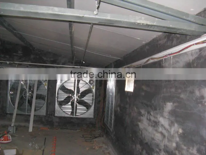 chicken broiler house equipment