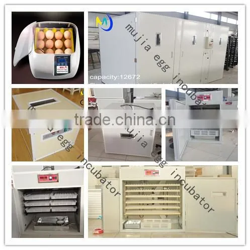 egg turning motor for incubator