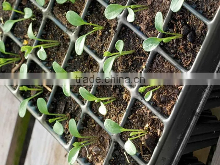 Plastic Nursery tray with dividers
