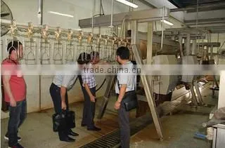 Nanjing Baiyun Imp & Exp Co., Ltd. company overview - view 1