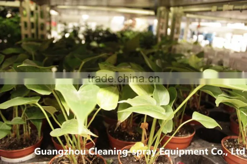 Micro irrigation bubbler for watering