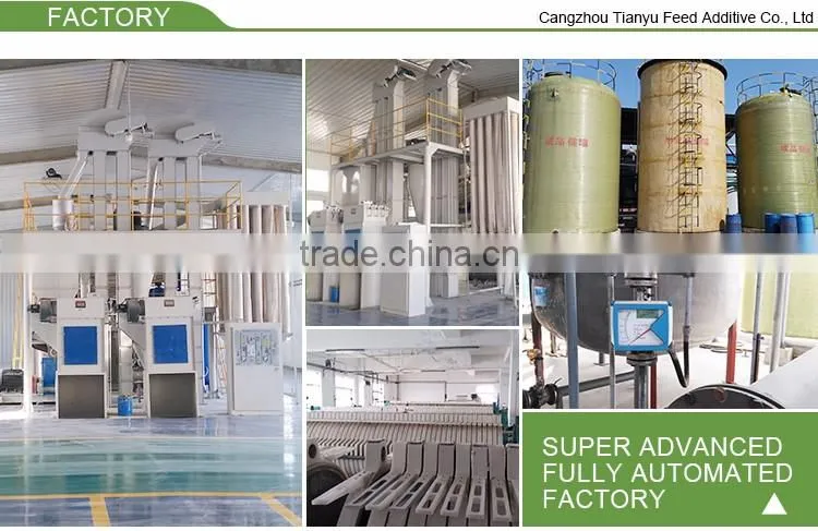 choline chloride/best price Choline Chloride 60% for poultry feed