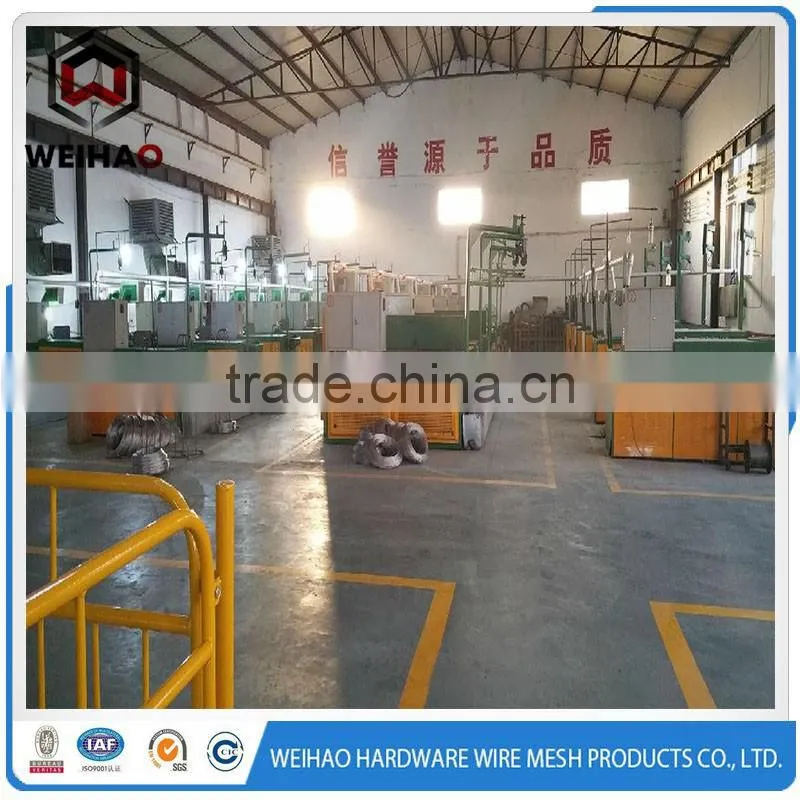 sus 304 stainless steel wire mesh for gas/liquied filter