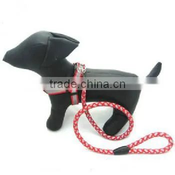 Webbing for Dog Collars