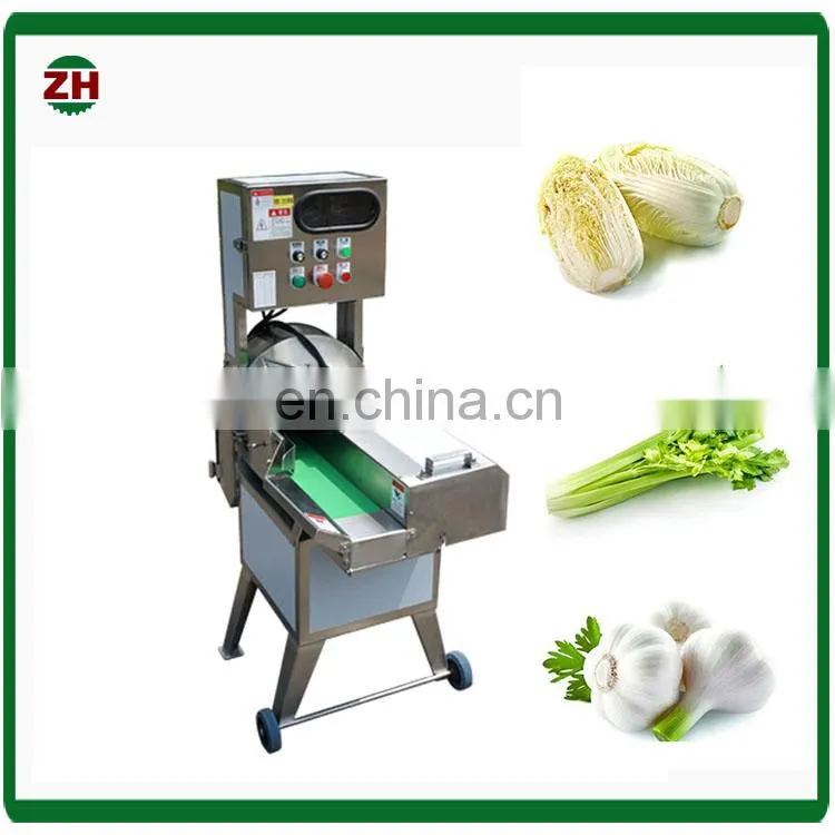 Commerical ozone air bubble oka mushroom washing machine jujube and grape fruit washing machine