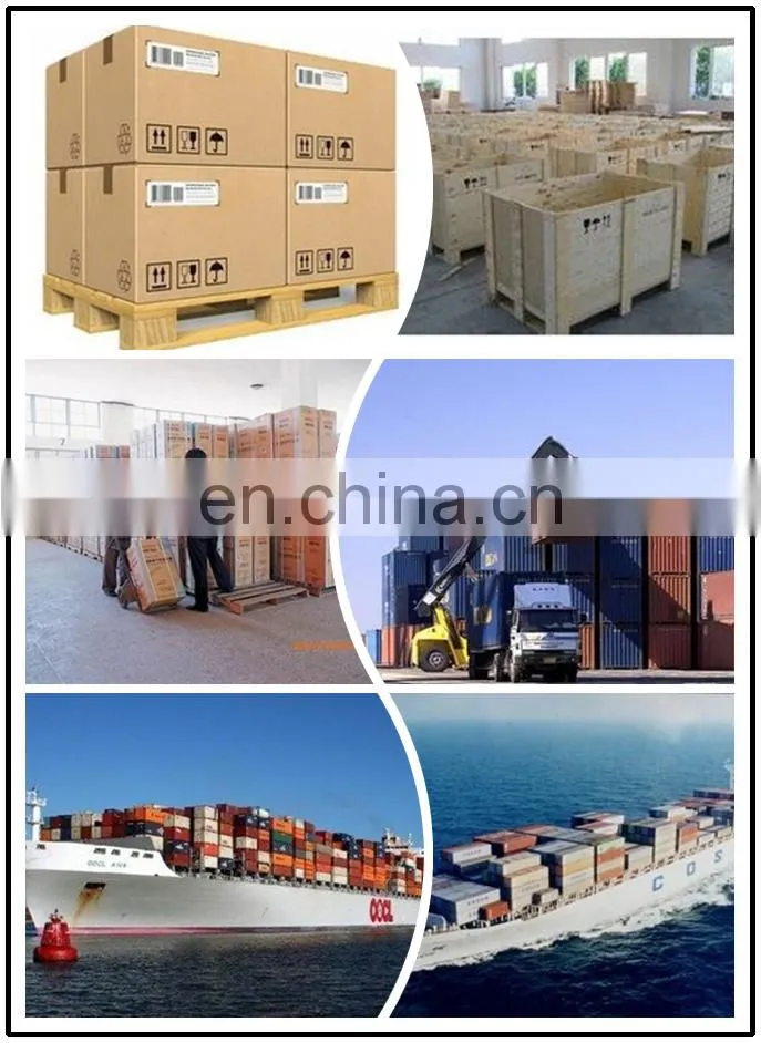 quail process equipment / poultry processing machine / quail plucker