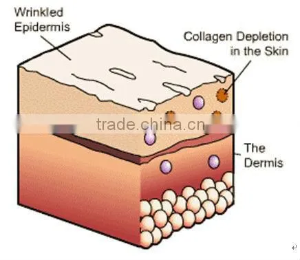 High quality and 100% Beacuty care and drinkable collagen