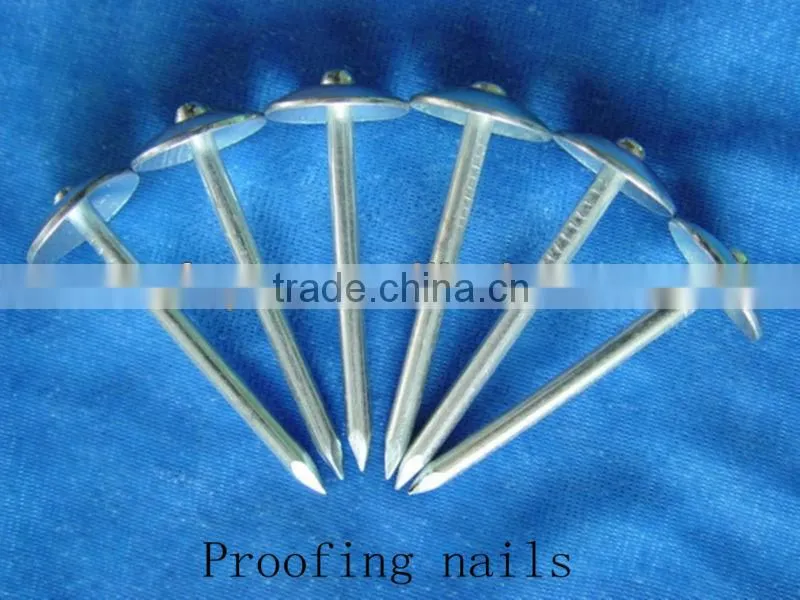 roofing screw nail