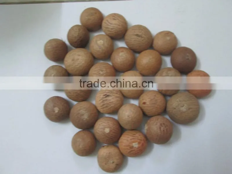 Dried Betel Nut (Areca nut )High Quality and Cheap Price From Vietnam