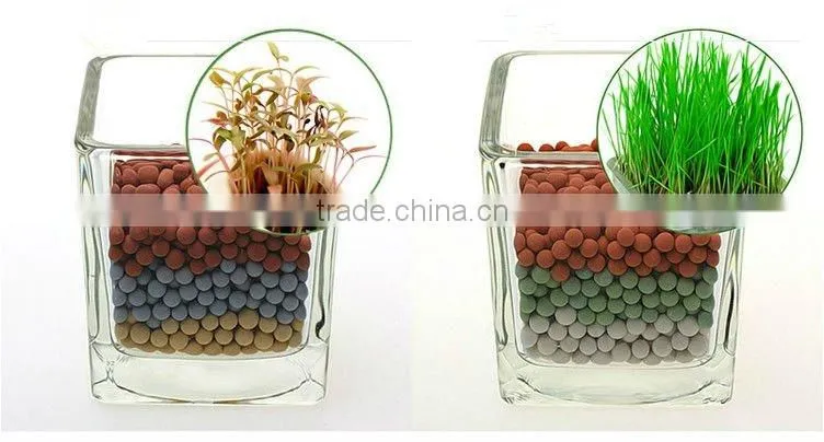 Anion mini plant,Creative promotion gifts