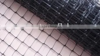Plastic stretched fencing