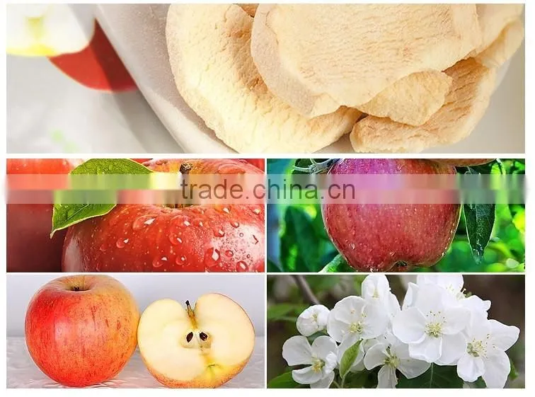 bulk packaging FD apple dried fruit snack