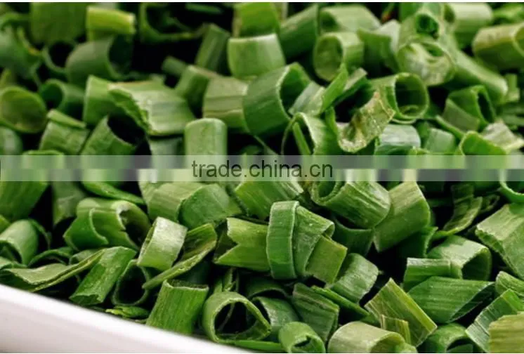 Chinese Healthy Snack Frozen Dried FD Dried Vegetables-FD Shallot Cut