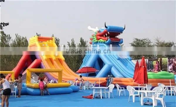 Giant Inflatable Water Slide for adult