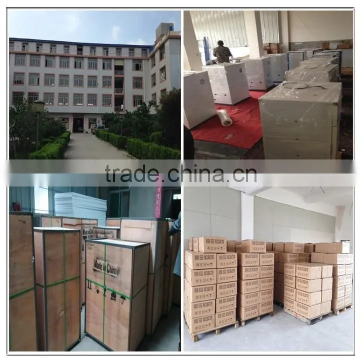 Hot sale professional automatic egg incubator for hatching 5280 eggs