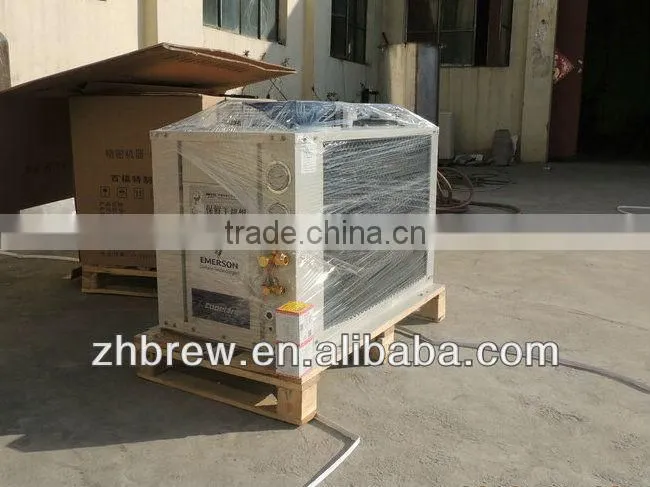 stainless steel small beer plants with CE