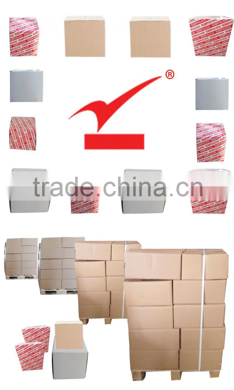 Gold Supplier G13 Gasoline Engine Piston OE NO.:12111-82010-0